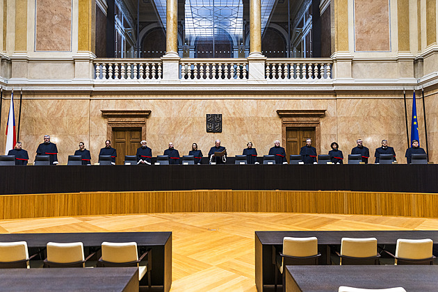 Vítězem je Volt. Stížnosti na koalice stranu dostaly do první ligy, míní politolog