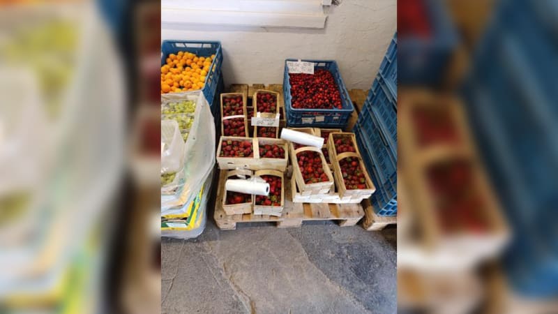 Nebezpečné jahody v Opavě obsahovaly plno pesticidů. Pocházely z Polska