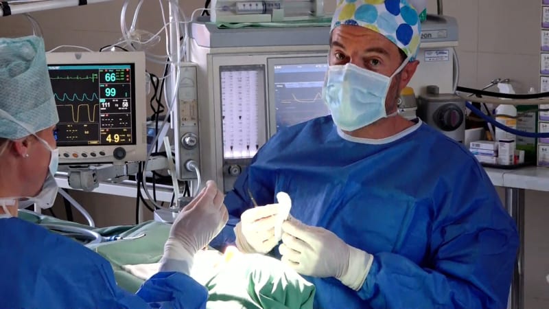 Chci silikonová prsa s popelem mého psa. Lidé v Česku chodí na plastiky i s bizarními požadavky