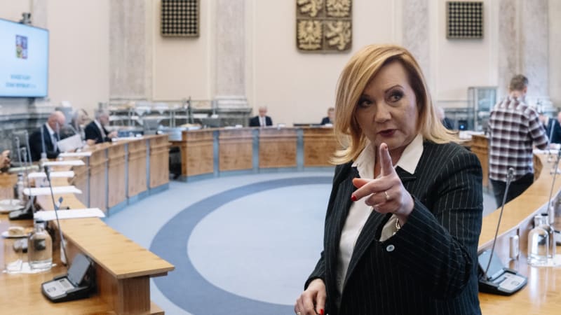 Nebude na důchody, varovala Schillerová, teď na ně ale nepřidala. Lhala, tvrdí Jurečka