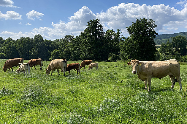 O status rodinné farmy si po měsíci řekl jediný podnik