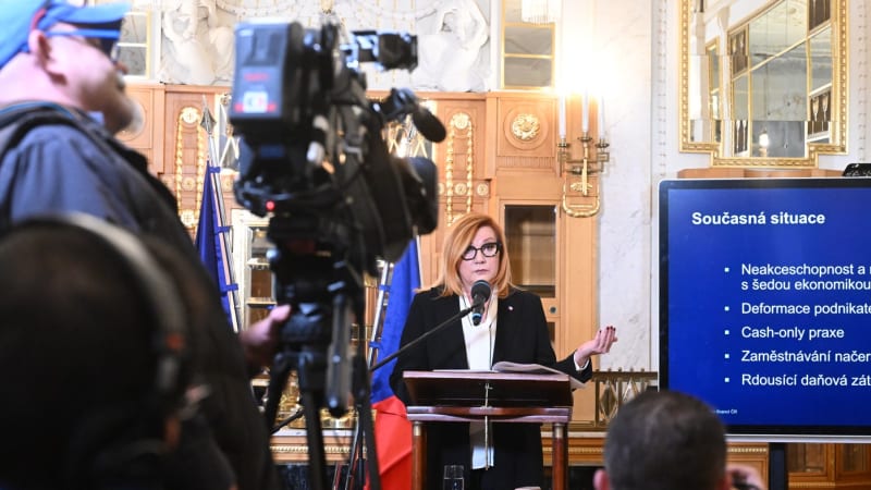 Schillerová hrozí kontrolami proti šedé ekonomice. Kdo se má bát a komu hrozí vězení?