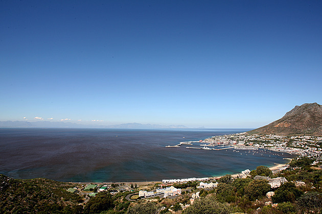 Jihoafrické pobřeží zaplavil rudý příliv, přemnožené řasy zabíjí ryby a korýše