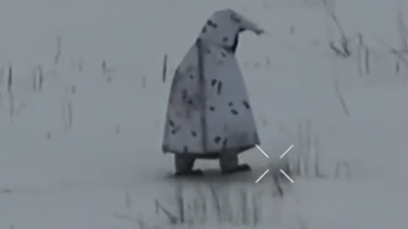 Momenty války: Skupinová sebevražda vojáků a okupanti připomínající obří tučňáky