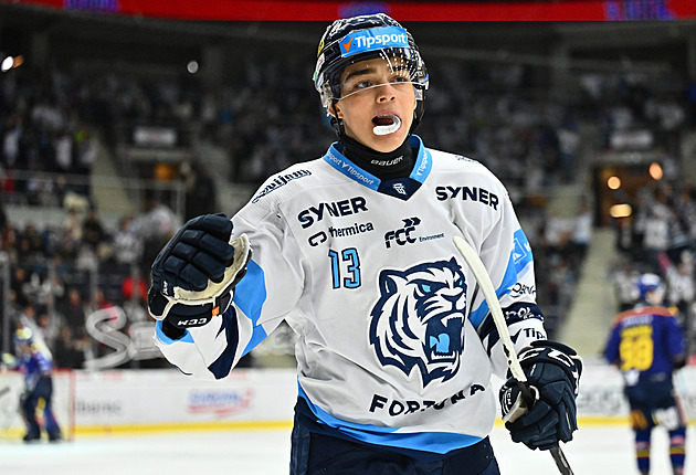 Dva góly nohou, opačné verdikty. Jak je to s kopnutím v extraligovém play off?