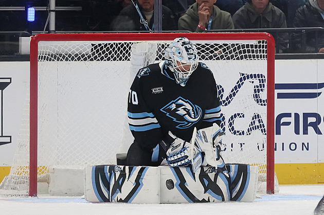 Skončila základní část NHL, Vejmelka se prostřídal s Vaněčkem