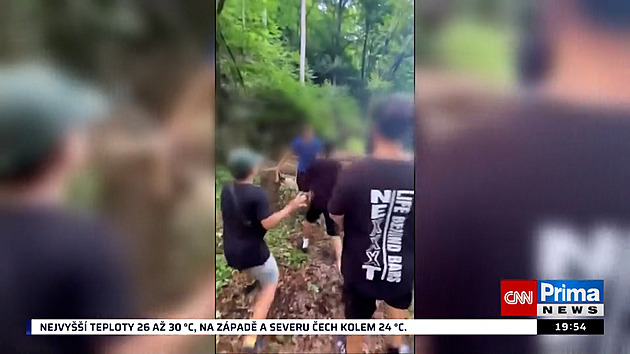 Školačka vylákala muže do lesa, pak ho zbili její kamarádi. Policie stíhá mladistvého