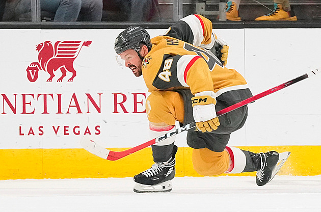 Hertl gólem přiblížil Vegas k finále Stanley Cupu, Nečas jednou asistoval