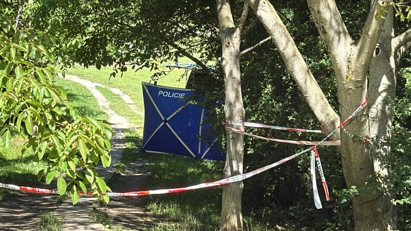 Hrůzný nález v pražském parku: Na stromě viselo tělo se smyčkou kolem krku