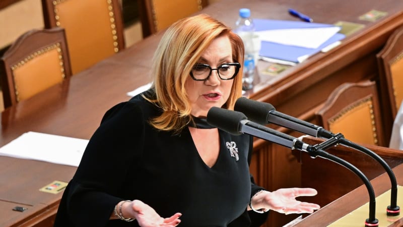 Nepokryjeme ani náklady, útočí penzijní fondy na reformu důchodů. Schillerová kritiku odmítá