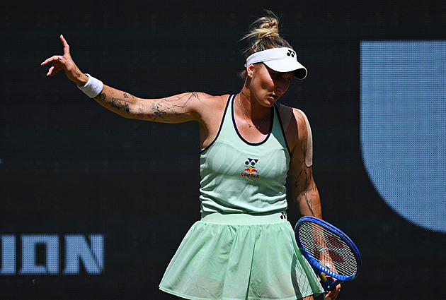 POHLED: Lidsky krutý trest, ale... Vondroušová se mohla zachovat jinak