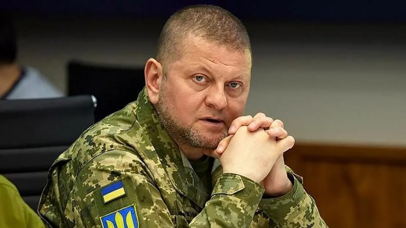 Tvrdá kritika NATO: Naše armáda je modernější, řekl Zalužnyj. Chce ale alianční technologie