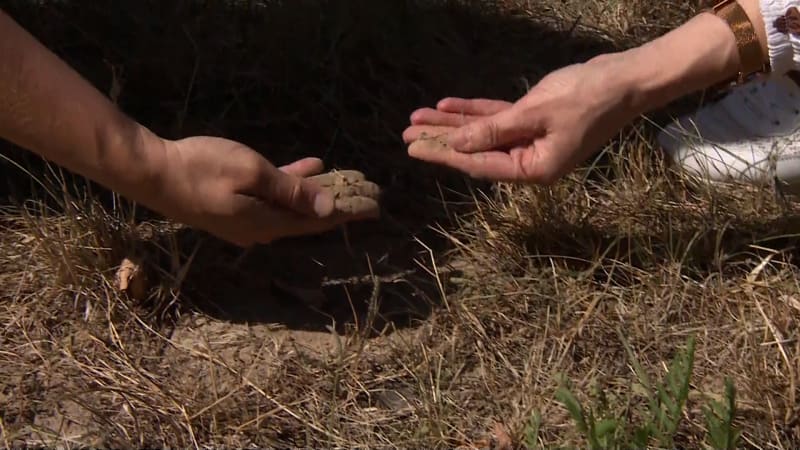 Kokořínsko se mění v poušť. Studny i potoky vysychají, na záchranu chybí peníze